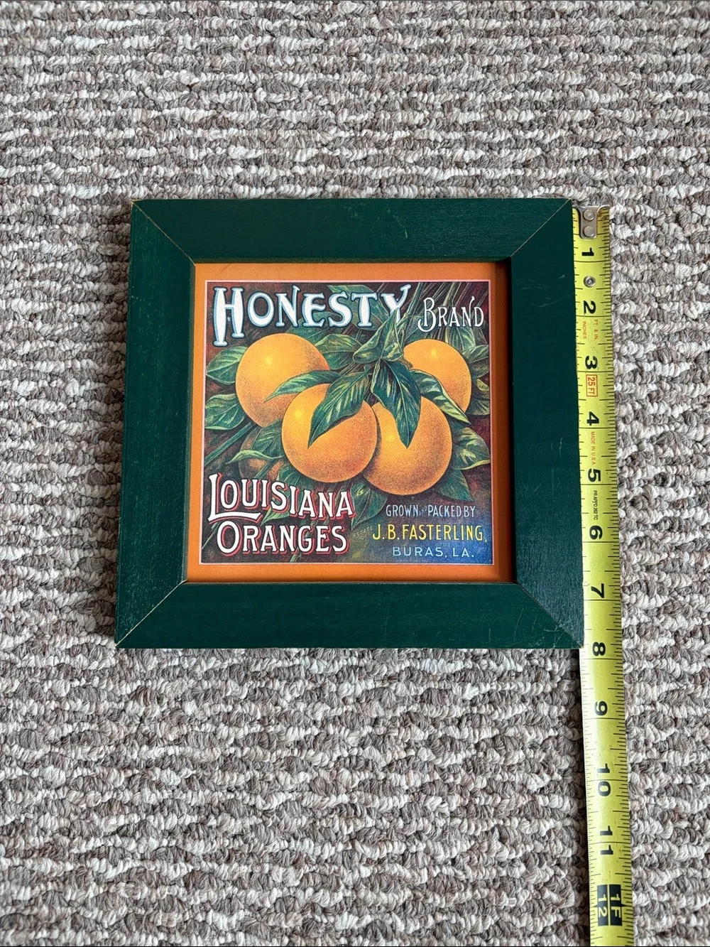 Louisiana Oranges Framed Wall Art